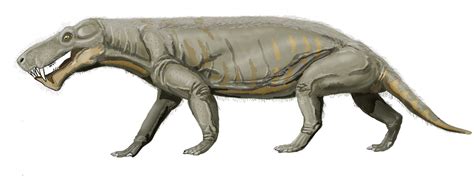 All Your Prehistoric Questions Answered — Anything Interesting To Say