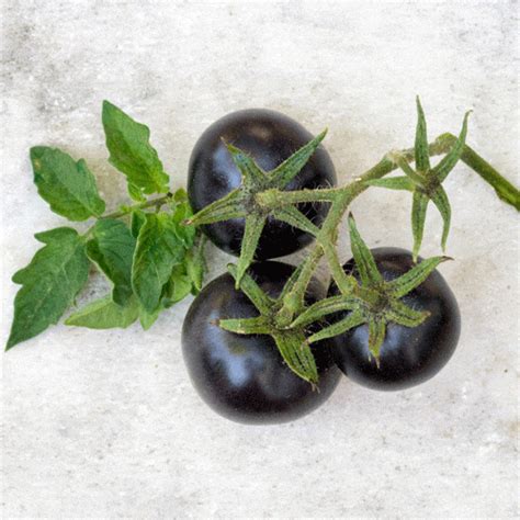 Black Heirloom Tomatoes