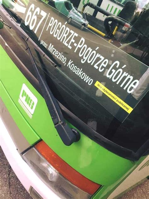 Rusza linia autobusowa z Pucka do Gdyni przez drogę przez łąki