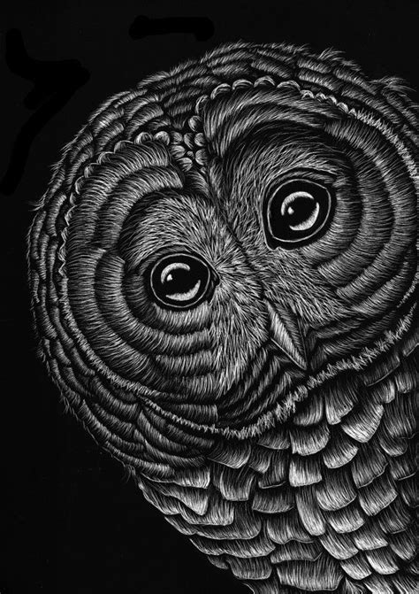 Owls Owl Art Owl Print Barn Owls Scratchboard Art Owl Artwork