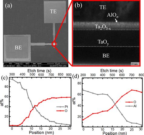 A Scanning Electron Microscope Sem Image B Cross Sectional Tem