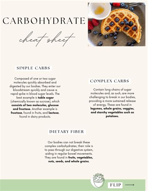 Understanding Carbohydrates Why Do We Need Carbs Nena S Wellness Corner