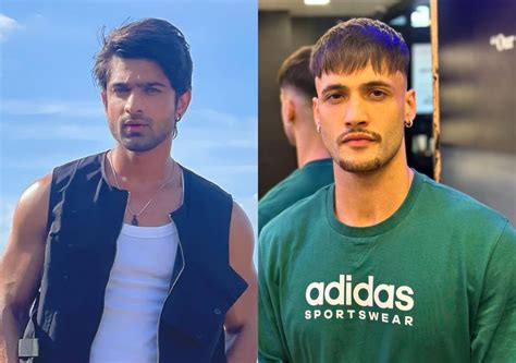 Khatron Ke Khiladi 14 Did Asim Riaz Push Abhishek Kumar During A