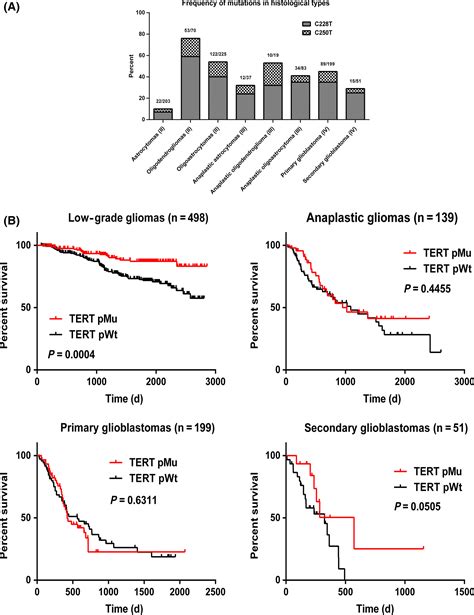 Paradoxical Prognostic Impact Of Tert Promoter Mutations In Gliomas