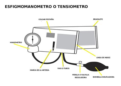 Semen Doktrin Label Cuales Son Las Partes Del Tensiometro Lingkungan