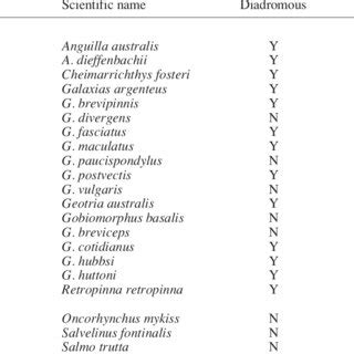 Fish species names, whether they have a diadromous life cycle (Y, yes ...