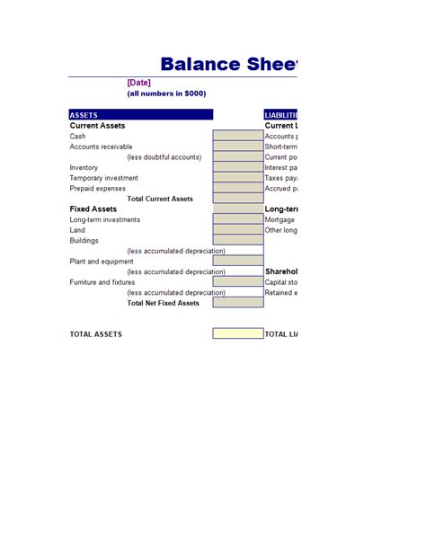 Balance Sheet Assets Liabilities And Capital Templates At