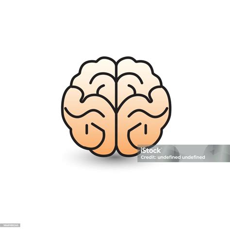 Ilustración De Ilustración Del Cerebro Humano Sobre Fondo Blanco Y Más