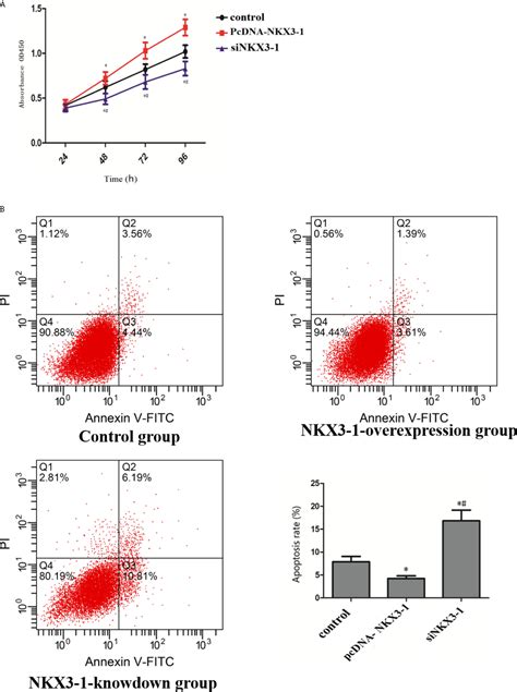 Frontiers Differential Expression Profile Of LncRNA In Glioma Cells