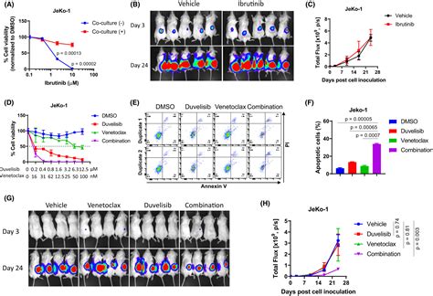 Dual Targeting Of Pi3k And Bcl‐2 Overcomes Ibrutinib Resistance In