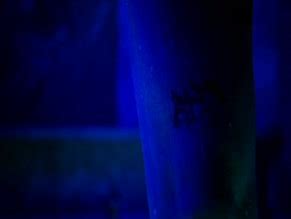 Eva Fellows Nude Aznude