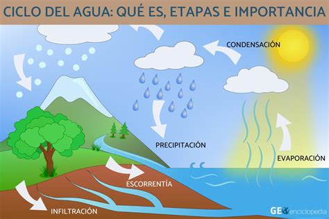 Ciclo Del Agua Qué Es Etapas E Importancia Resumen