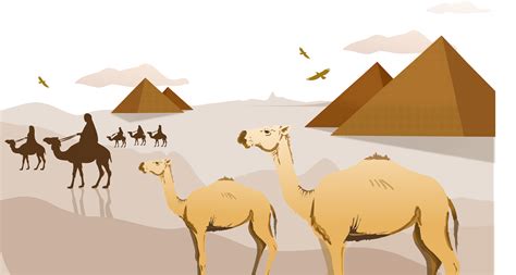 Camel Cart PNG