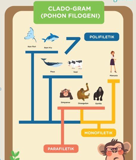 Belajar Biologi Apa Itu Pohon Filogeni Malangpostid