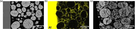 Semedx Images Of Cross Sections Of Cycled Cathodes Of Nmc Coated