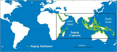 Dugong Habitat Map