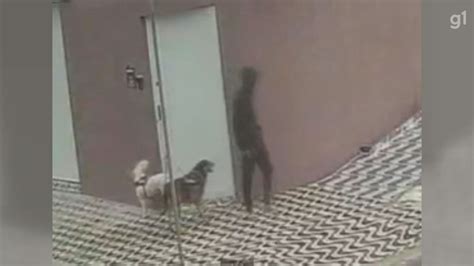 Homem simula passeio cachorros mas é flagrado abandonando