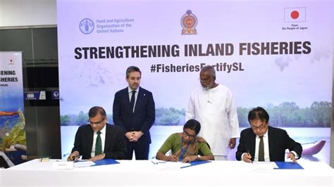 Japan Grants 3 Million To Boost Sri Lankas Inland Fisheries And