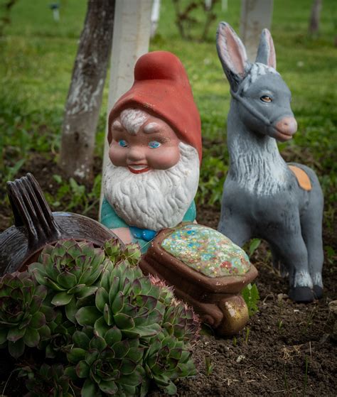 biblical meaning of gnomes 6