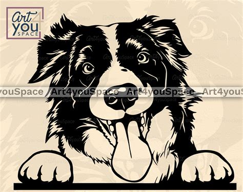 Border Collie Svg Dog Svg Files For Cricut Usa Flag Glasses Etsy España