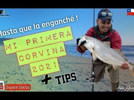 Descubre Los Mejores Lugares De Pesca Y Sus Capturas