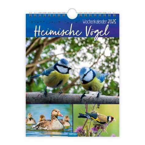 Trötsch Wochenkalender zum Hängen Heimische Vögel 2025 Kalender jpc