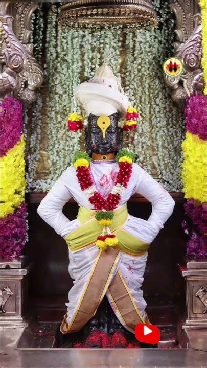 Vitthal Darshan Pandharpur Wari 2023 Youtube