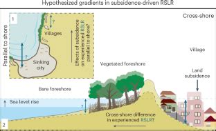 Subsidence Reveals Potential Impacts Of Future Sea Level Rise On