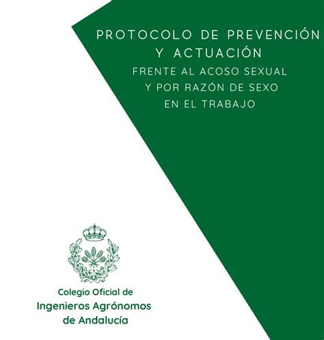 Protocolo De Prevención Y Actuación Frente Al Acoso Sexual Y Por Razón