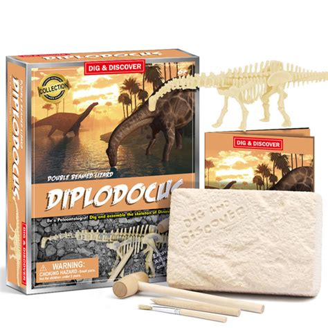 Buy WWSUNNY Fósil de Dinosaurio Excavar y Descubrir Dinosaurio jurásico