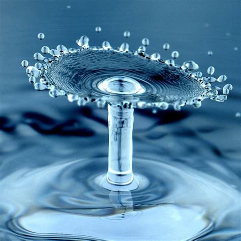Scientific Photography Intricate World Of Research And Discovery