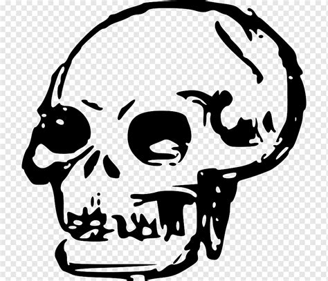 Human Skull Symbolism Human Skeleton Skull Face Monochrome Head Png