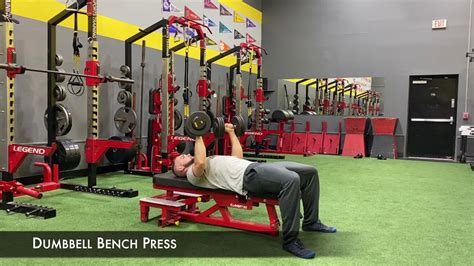 Dumbbell Bench Press Exercise Demo Youtube