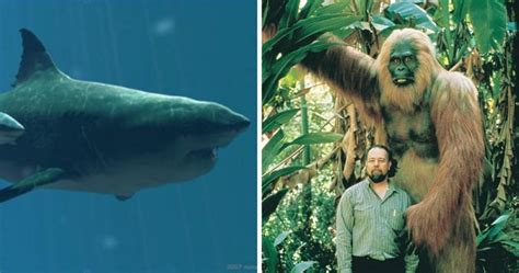 Top 5 Largest Animals In The World In Urdu Hindi Worl