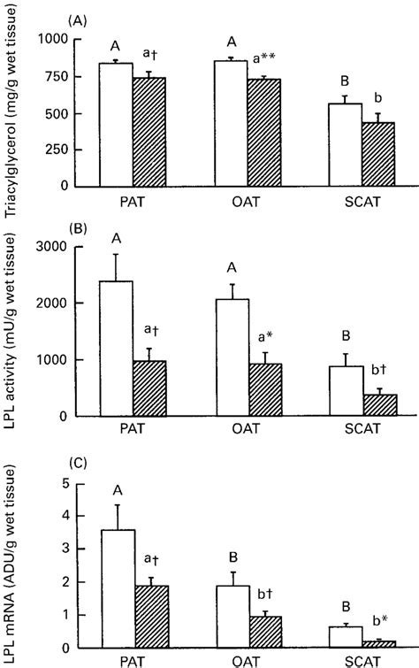 A Triacylglycerol Tag Content B Lipoprotein Lipase Lpl