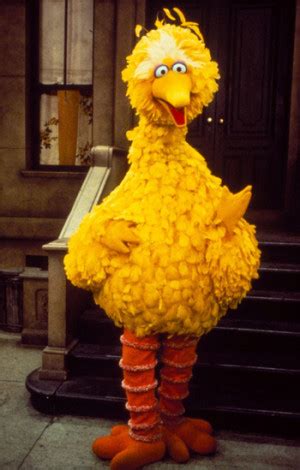 Big Bird Quotes. QuotesGram