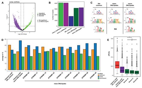 Jdb Special Issue Hox Genes In Development New Paradigms