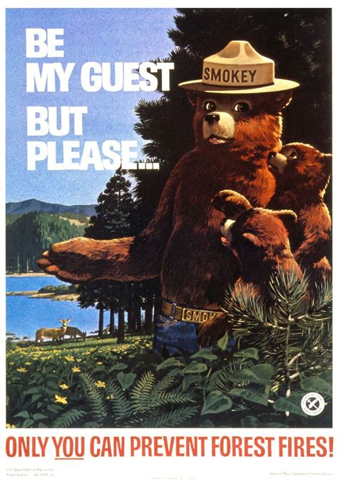 Smokey Bear Be My Guest Smokey The Bears Nature Posters Bear Pictures