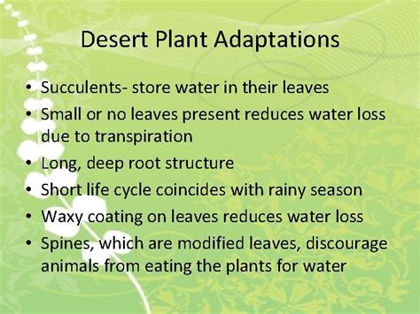 Plant Adaptations An Adaptation Is A Characteristic Which