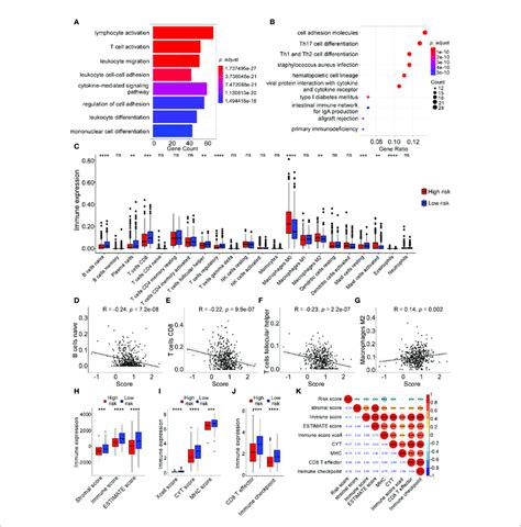 Tumor Immune Features And Immune Cell Infiltration Analyses In