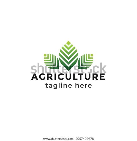 Agriculture Logo Illustration Farm Logo Leaf Stock Vector Royalty Free