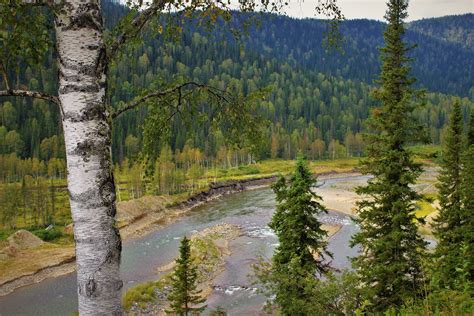 Тайга Река Фото — Картинки фотографии