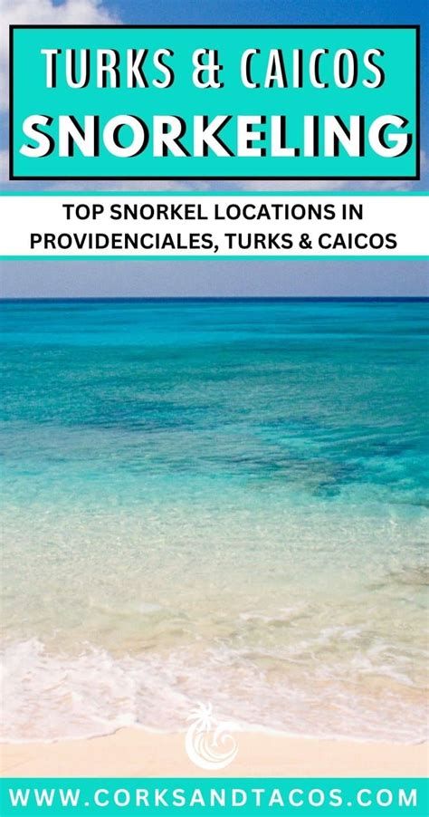 Best Snorkeling In Turks And Caicos - Top Spots In Providenciales