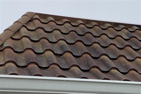 The Benefits Of Soft Washing Roof Shingles Bee Klean