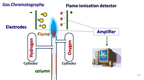 Kso Flame Ionization Detector