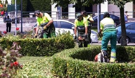 Quir S Niega Que Exista Baja Temeraria En La Adjudicaci N Del Contrato