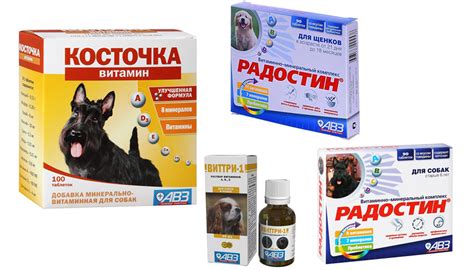 Витамины Агроветзащита для собак: 6 популярных видов, отзывы