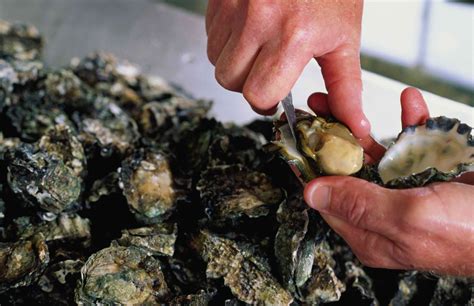 Missouri Man 54 Dies From Flesh Eating Bacteria After Eating Raw Oysters