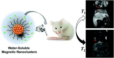 One Pot Synthesis Of Water Soluble And Biocompatible Superparamagnetic