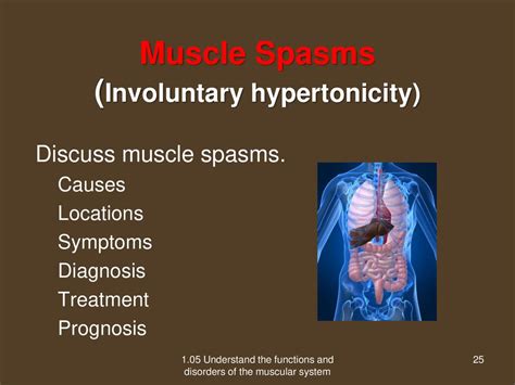 105 Understand The Functions And Disorders Of The Muscular System